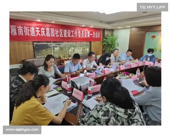 高原地区社工服务站建设面临的主要挑战与应对策略分析 高原地区社工服务站建设面临的主要挑战与应对策略分析