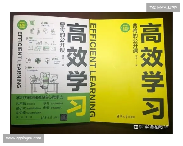 提升工程师职场竞争力的关键技能加点策略与实践方法