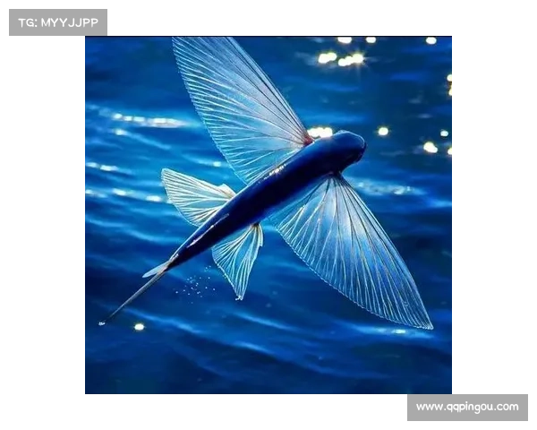 走进神兽森林探秘隐秘奇幻生物与古老传说的神秘世界