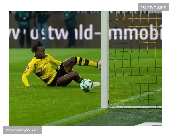 巴舒亚伊能说哪些语言及其多语言能力对足球生涯的影响分析