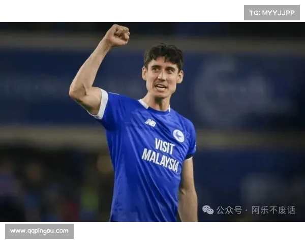 加的夫城目前所在联赛及其历史参赛情况概述