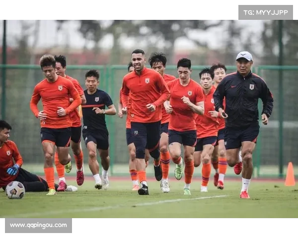 提升山东泰山足球队训练效率的策略与方法分析